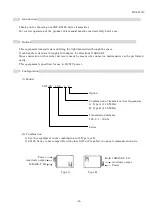 Preview for 3 page of Toyo SOT-ES100 Series Manual