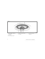 Предварительный просмотр 6 страницы Toyota 2005 ECHO User Manual