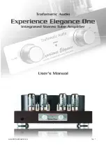 Trafomatic Audio Experience Elegance One User Manual preview