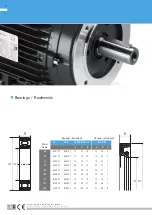 Preview for 12 page of TRAMEC Asynchronous aluminium electric motors Operation And Maintenance Manual