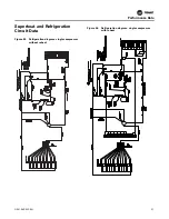 Предварительный просмотр 51 страницы Trane Horizon OABD Installation, Operation And Maintenance Manual