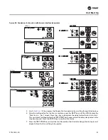 Предварительный просмотр 115 страницы Trane IntelliPak SAHL Series Installation, Operation And Maintenance Manual