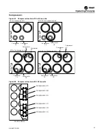 Preview for 87 page of Trane RAUJ-C20 Installation, Operation And Maintenance Manual