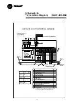 Preview for 28 page of Trane RAUP 250 Installation Operation & Maintenance