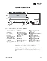 Предварительный просмотр 67 страницы Trane RTAA-100 Installation & Maintenance Manual