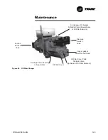 Предварительный просмотр 123 страницы Trane RTAA-100 Installation & Maintenance Manual