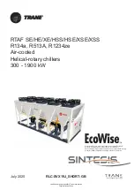 Trane Sintesis RTAF HE Manual preview