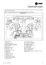 Предварительный просмотр 27 страницы Trane Sintesis RTAF HE Manual