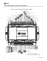 Предварительный просмотр 24 страницы Trane Tracer ZN521 Installation And Operation Manual