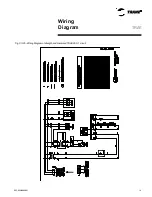 Предварительный просмотр 19 страницы Trane TRCE050 1C Installation Operation & Maintenance