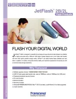 Transcend JetFlash 2B Specification Sheet preview