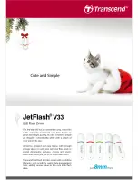 Preview for 1 page of Transcend JetFlash V33p Brochure & Specs