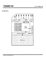 Preview for 2 page of Transcend Secure Digital Card TS2GSD133 Specification Sheet