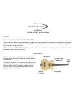 Traveler Guitar TRAVELER ACOUSTIC AG?105 User Manual preview