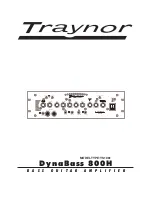 Preview for 1 page of Traynor YS1061 Instruction Manual