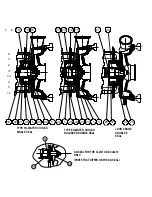 Предварительный просмотр 43 страницы Tri-Clover Tri-Flo CL Series Service & Installation Manual