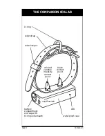 Предварительный просмотр 13 страницы Tri-Tronics Training collar Owner'S Manual