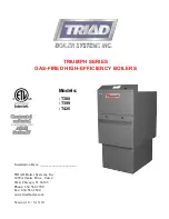 Triad Triumph series Manual preview