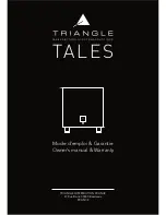 Triangle Engineering Tales User Manual preview