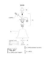 Triarch Indoor Lighting 32339 Assembly Instructions preview