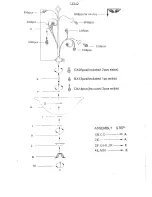 Triarch Indoor Lighting 32342 Assembly Instruction preview