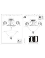 Triarch Indoor Lighting 39661 Instructions preview