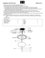 Triarch Indoor Lighting 60115 Assembly Instructions предпросмотр