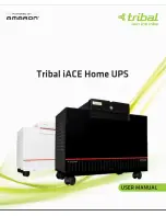 Tribal iACE 1400VA User Manual preview