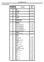 Предварительный просмотр 39 страницы Tribe JETBEAM2 User Manual