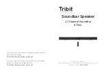 Tribit BTS60 User Manual preview