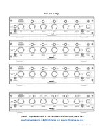 Preview for 16 page of Trickfish Amplification BULLHEAD .5K Operation Manual