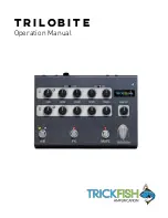 Trickfish Amplification Trilobite Operation Manual preview