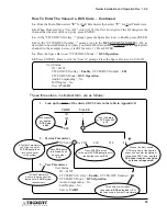 Preview for 45 page of Trident Raider Installation And Operation Manual