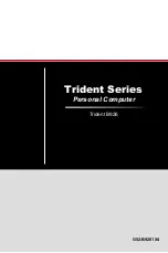 Trident Trident B926 Service Manual preview