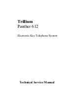 Trillium Panther 612 Technical & Service Manual предпросмотр