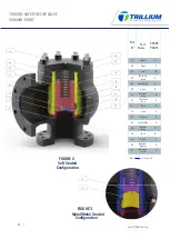 Preview for 12 page of Trillium SARASIN-RSBD 78 Series Installation, Operation & Maintenance Manual