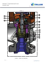 Preview for 14 page of Trillium SARASIN-RSBD STARFLOW V Series Installation, Operation & Maintenance Manual