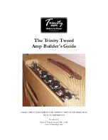 Trinity Amps Trinity Tweed Amp Builder'S Manual preview