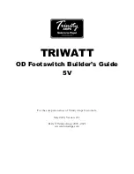 Trinity Amps TRIWATT Builder'S Manual preview