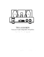 Предварительный просмотр 1 страницы TRIODE TRV-A300SER User Manual