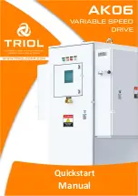 Triol AK06-CP Quick Start Manual предпросмотр