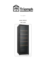 Triomph TKS116VN User Manual предпросмотр