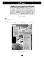 Preview for 37 page of Tripp Lite B050-000 Owner'S Manual