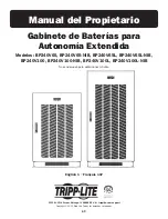 Preview for 69 page of Tripp Lite BP240V100 Owner'S Manual