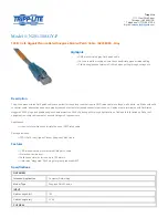 Tripp Lite N201-100-GY-P Specification Sheet preview