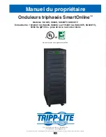 Предварительный просмотр 105 страницы Tripp Lite SmartOnline SU40K Owner'S Manual