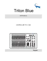 Предварительный просмотр 2 страницы Triton Blue TR C 1224 User Manual