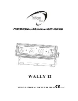 Triton Blue WALLY 12 User Manual preview