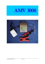 Triton Electronics AMV 300 Manual preview