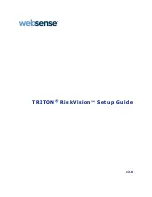 Предварительный просмотр 1 страницы Triton RiskVision Setup Manual